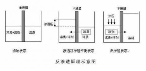 ro膜是什么？為什么說它是凈水器的靈魂？  hot