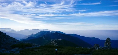 家電市場總在不經(jīng)意間釋放變數(shù)